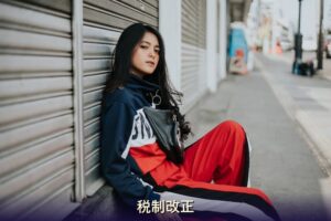 税制改正 チャットレディ